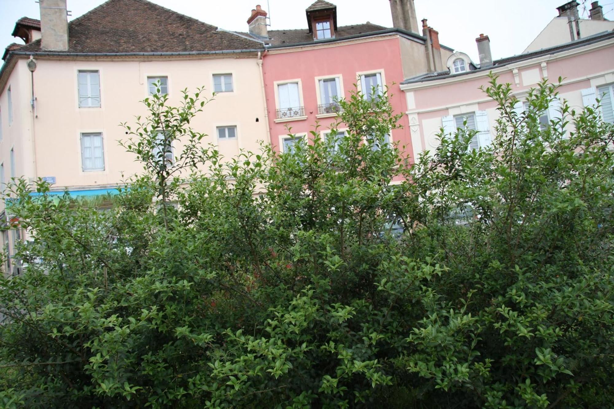 Appartement Haut De Gamme Centre Ville Chalon-sur-Saône Eksteriør bilde